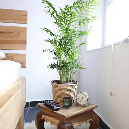 توب سيتيلاج هانوفر