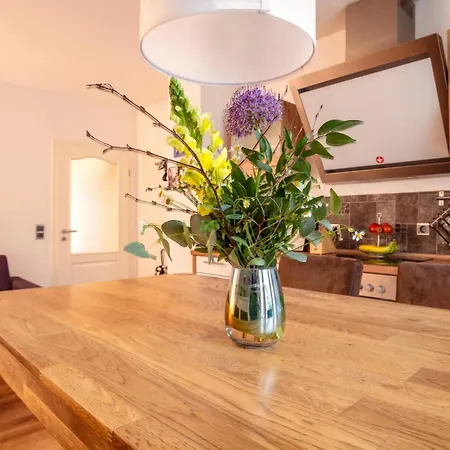 Apartment Citylage *