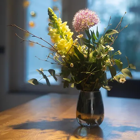 Citylage Apartment *